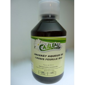 Cassis feuille bio