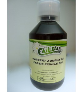 Cassis feuille bio