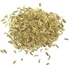 Fenouil fruit poudre