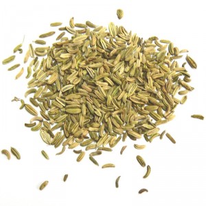 Fenouil fruit poudre