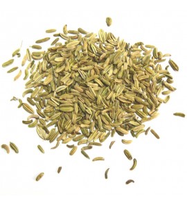 Fenouil fruit poudre