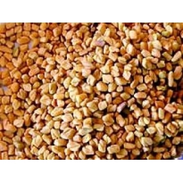 Fenugrec gélules poudre 330mg