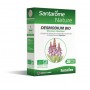 Desmodium Bio Ampoules