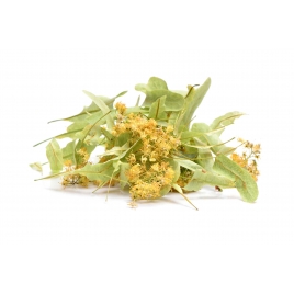 Tilleul BIO fleur & bractée