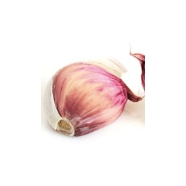 Ail HECT