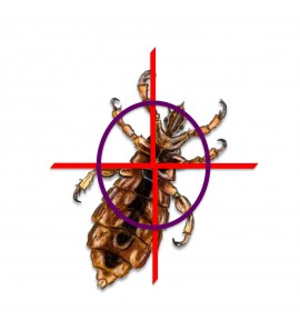 Anti-poux aux huiles essentielles