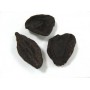 Garcinia extrait sec gélules 200mg