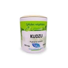 kudzu gélules 250mg