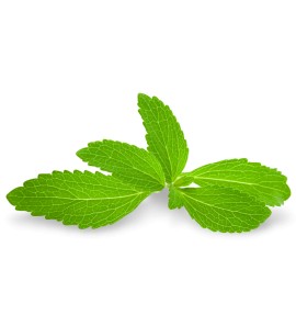 Stevia BIO feuille
