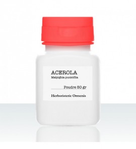 Acerola jus concentré poudre