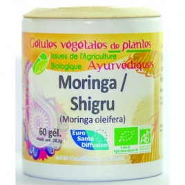 Moringa bio en gélules