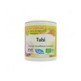 Tulsi basilic sacré BIO