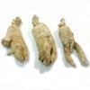 Ginseng blanc pdre