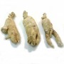 Ginseng blanc racine