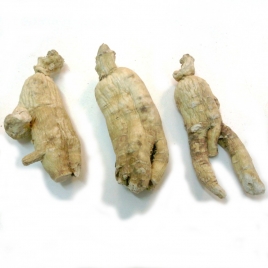 Ginseng rouge gélules poudre 250mg
