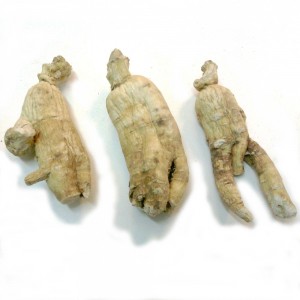 Ginseng rouge gélules poudre 250mg