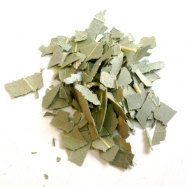 Eucalyptus BIO feuille coupées