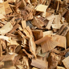 Aubier de tilleul en copeaux