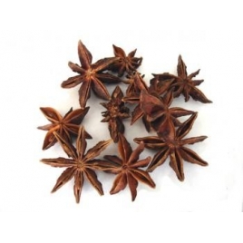 Badiane de Chine fruit