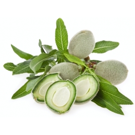 Amande douce BIO huile vierge
