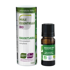 Ravintsara camphrier feuille HECT