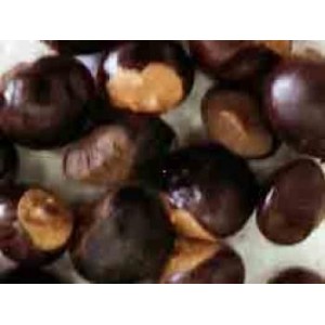 Guarana poudre
