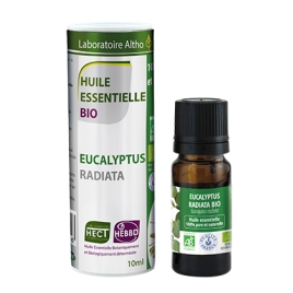 Eucalyptus radiata BIO HECT