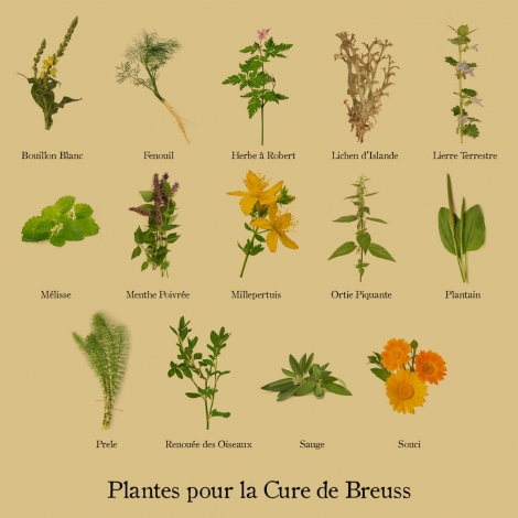 Cure de Breuss