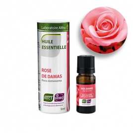 Rose de Damas HECT