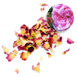pétales rosa centifolia