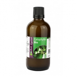 huile végétale de Calophylle Bio 100 ml