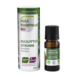 Eucalyptus citronné BIO HECT