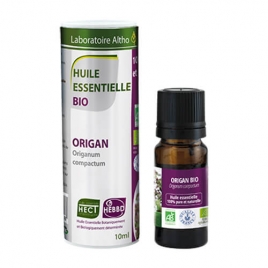 Origan compacte BIO HECT