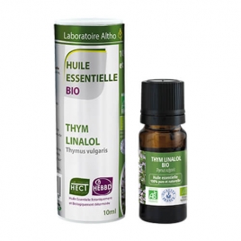 Thym commun BIO à linalol HECT