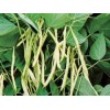 Haricot cosse poudre gélules 235mg