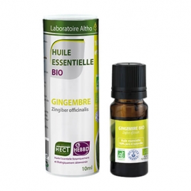 Gingembre BIO HECT