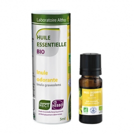 Inule odorante BIO HECT