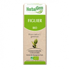 Extrait de Bourgeons Figuier Bio 50 ml Herbalgem