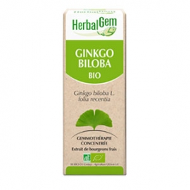 Ginkgo Bilboa Extrait de Bourgeons Bio 50 ml Herbalgem