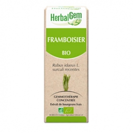 Framboisier Extrait de Bourgeons Bio 50 ml Herbalgem