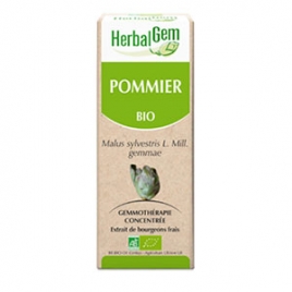 Pommier Extrait de Bourgeon Bio 50 ml Herbalgem