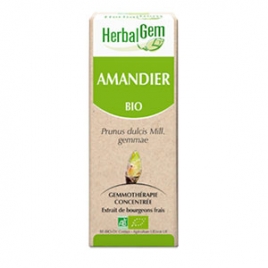 Amandier Extrait de Bourgeons Bio 50 ml Herbalgem