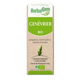 Genévrier Extrait de Bourgeons Bio 50 ml