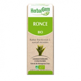 Ronce Extrait de Bourgeons Bio 50 ml Herbalgem