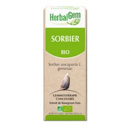 Sorbier Extrait de Bourgeons Bio 50 ml Herbalgem