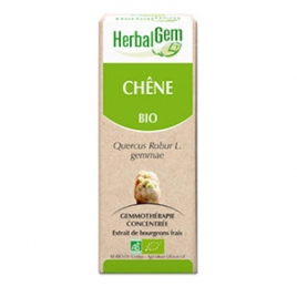 Chêne Extrait de Bourgeons Bio 50 ml Herbalgem