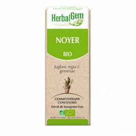 Noyer Extrait de Bourgeons Bio 50 ml Herbalgem