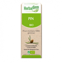 Pin Extrait de Bourgeons Bio 50 ml Herbalgem