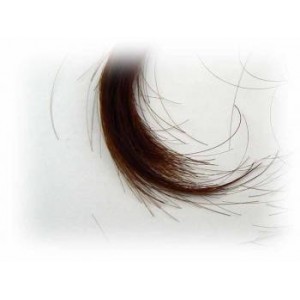 Henné Naturel poudre