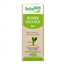 Rosier Sauvage Extrait de Bourgeons Bio 50 ml Herbalgem
